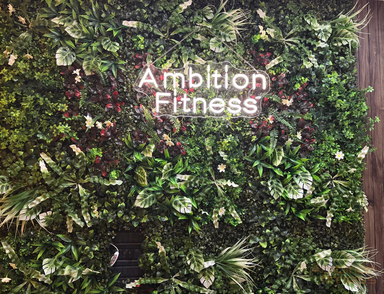 Insegna Ambition Fitness — Ambition Fitness Legnano
