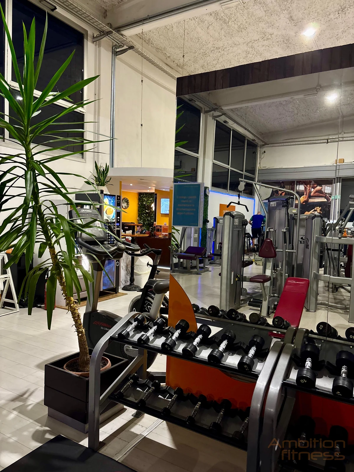 Manubri e sala pesi — Ambition Fitness Legnano