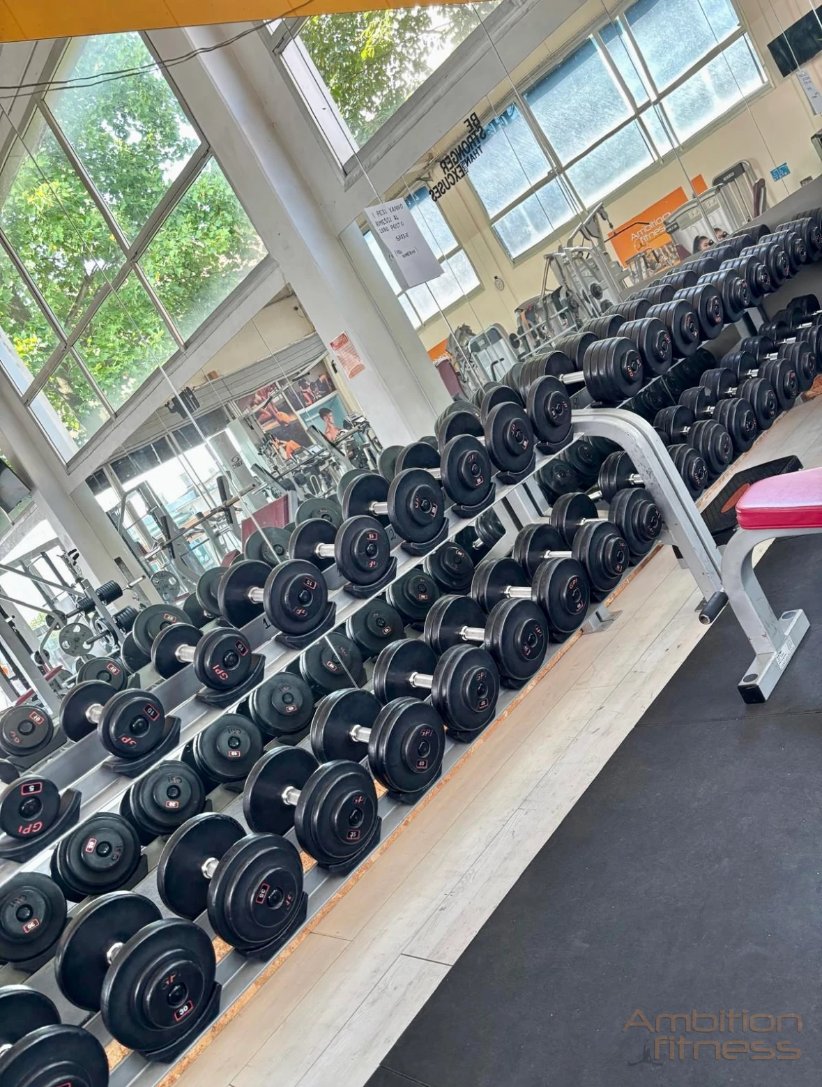 Rastrelliera dei manubri — Ambition Fitness Legnano