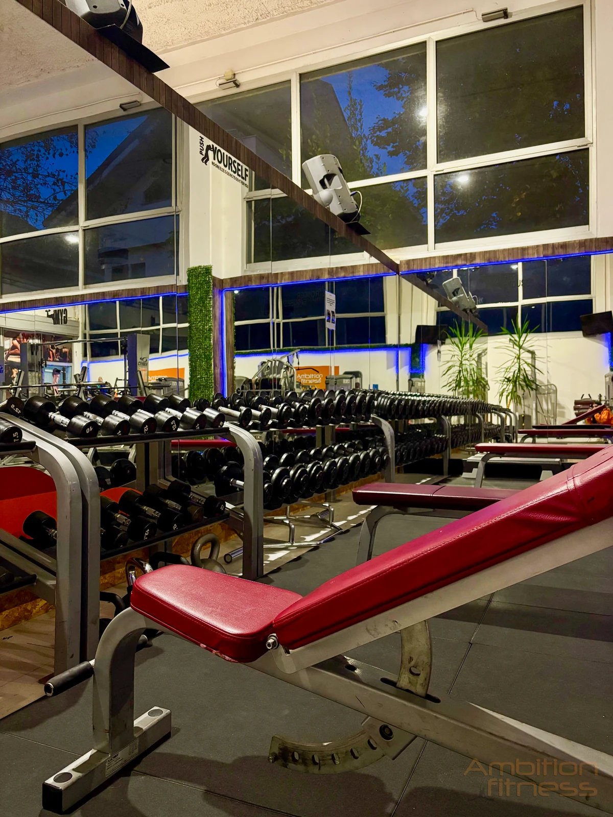 Panche e manubri — Ambition Fitness Legnano